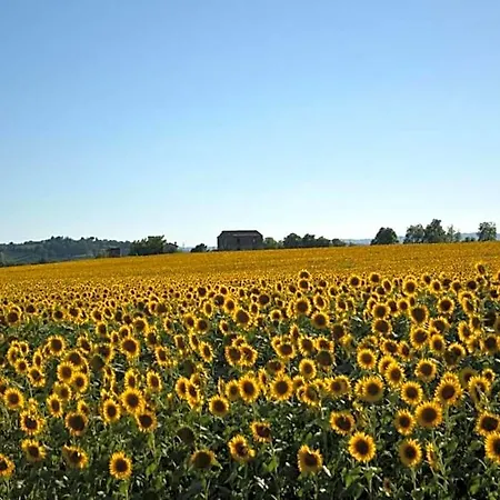 Hotel Spacious Tuscan 3*